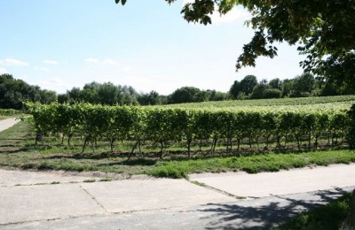 Stellplatz am Sportplatz