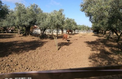 Agriturismo Feudo delle Querce