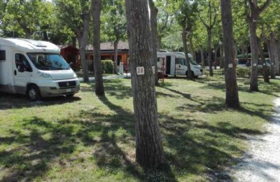 Camping Viareggio