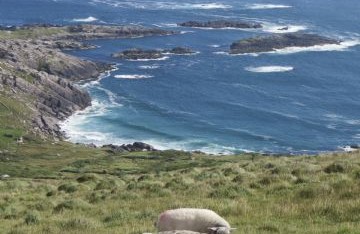 Ring of Kerry Lookout and Car Park