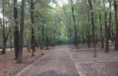 Camping International