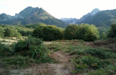 Agriturismo da Pasquino