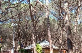 Camping Village  Pionier Etrusco