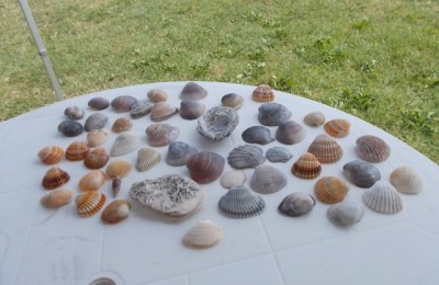 Area di sosta a Lido di Dante