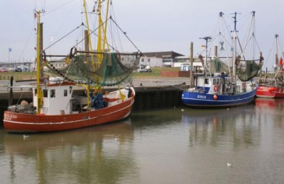 Wohnmobilhafen - Grube