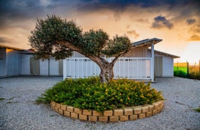 Agricampeggio Alessandra