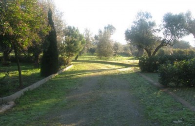 Fattoria Parco degli Ulivi