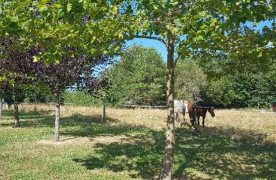 La Ferme Aux Canard Du Bois