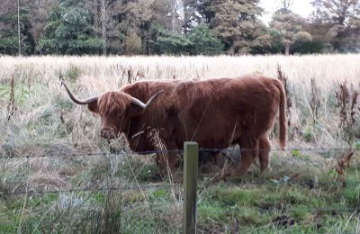 Mortonhall Caravan and Camping Park