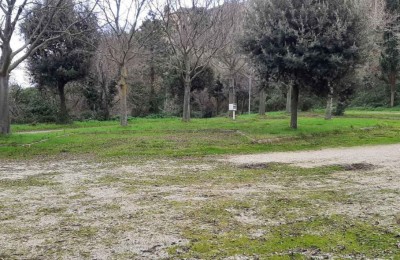 Area camper Moresco