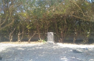 Oasi Costa dell'Ambra 