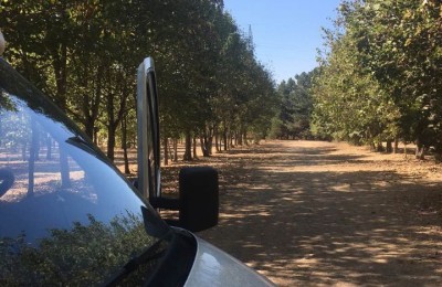 Parcheggio Centro visite Cupone