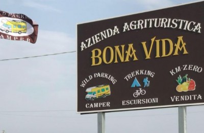 Bona vida