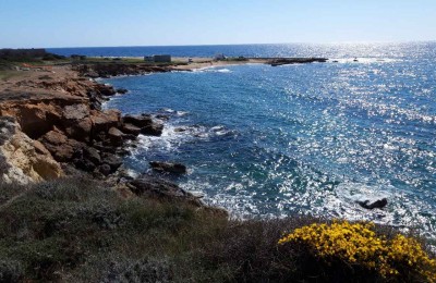 Sulla scogliera di Torre Ovo