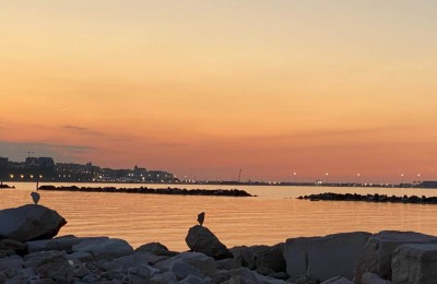 Rio Vivo Camper Park