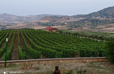 Agriturismo Gigliotto