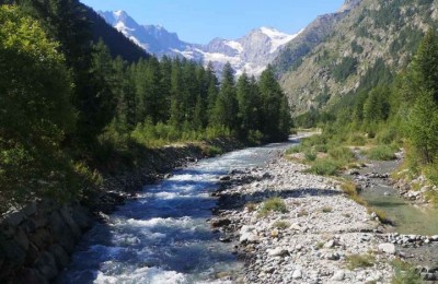 Camping Gran Paradiso