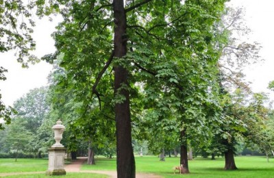 Wohnmobilstellplatz Am Blüherpark