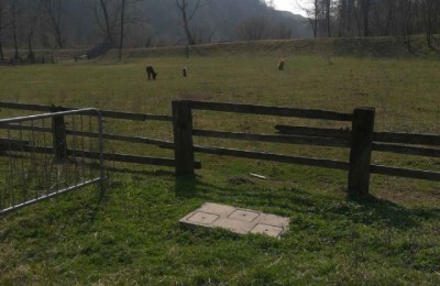 Azienda agricola Cascina della Volpe