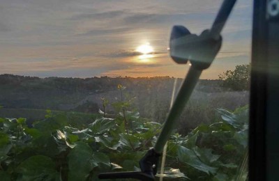 Azienda vitivinicola La Bandina