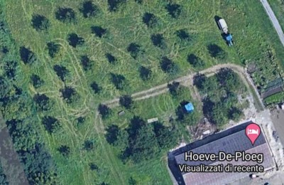 Area Camper Hoeve-De-Ploeg  