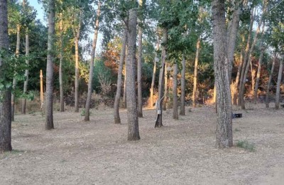 Agriturismo Agricasale