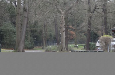 Abbey Wood Caravan Club Site 