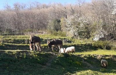 Agriturismo Gli Orti di Bertin