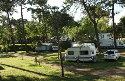 Camping El Rosal