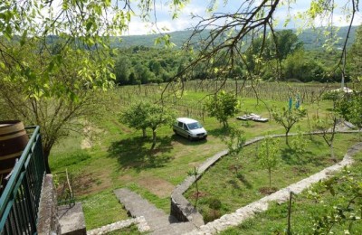 Purple Eye Estate - Camp & Winery