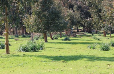 Village De L'Ostriconi