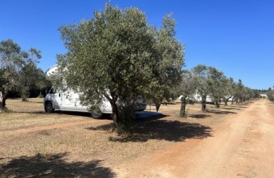 Agricamping Parco degli Ulivi