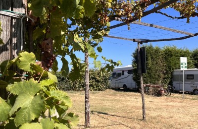 Agriturismo Il Gelsomino Ritrovato