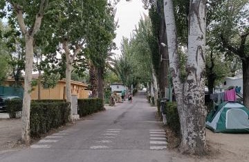 Bungalows Camping Alpha