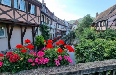 Camping Municipal De Kaysersberg