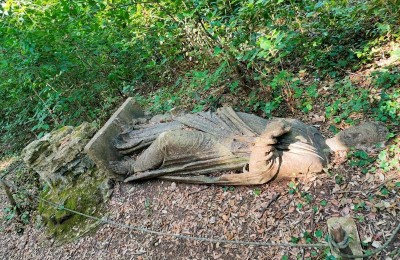 La Ghiandaia - Oasi WWF Bosco S.Silvestro