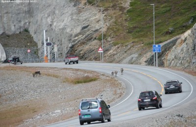 Kragnes Rasteplass