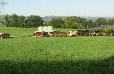 Wohnmobilstellplatz Allgau Dietmannsried