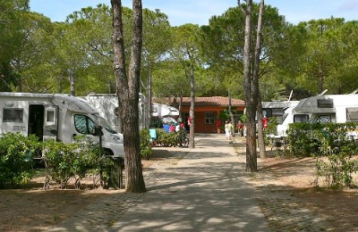 Camping Ville degli Ulivi