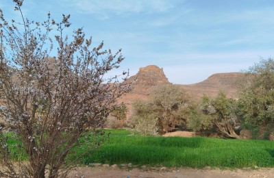 Hotel- camping Amtoudi