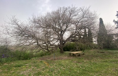 Agricampeggio Poggio del Castagno