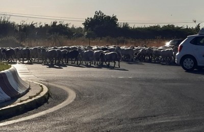 Parcheggio Mercadona