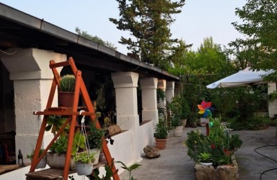 L'eredità degli Ulivi