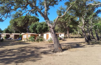 Camping a la Ferme U Paradisu