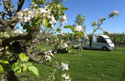 Agricamping La Rosa nel Borgo