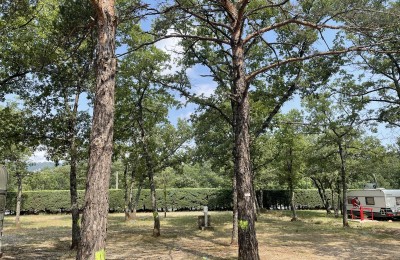 Camping Municipal Les Ruisses