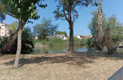 Camping Lacus