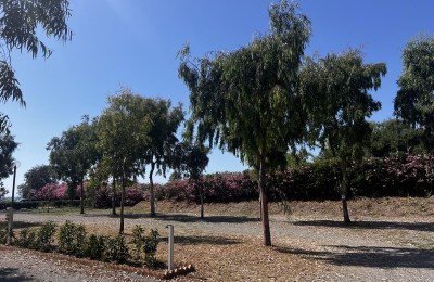 Sosta Camper Diamante - Ipanema Family Club