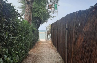 Camping Pineta
