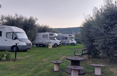 Agrisosta L'Isola degli Ulivi